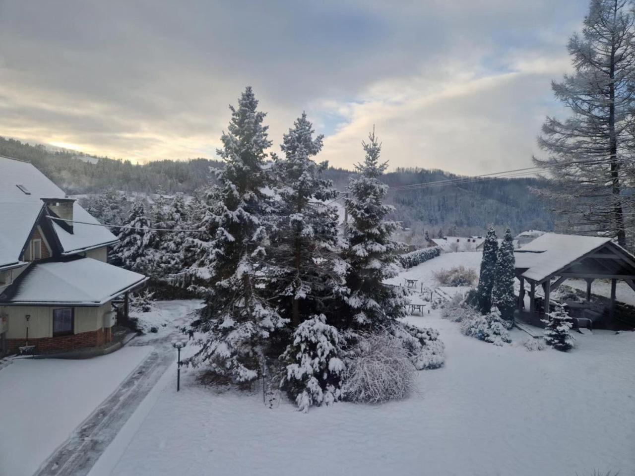Beskid Ski Villa Wisla Exterior photo